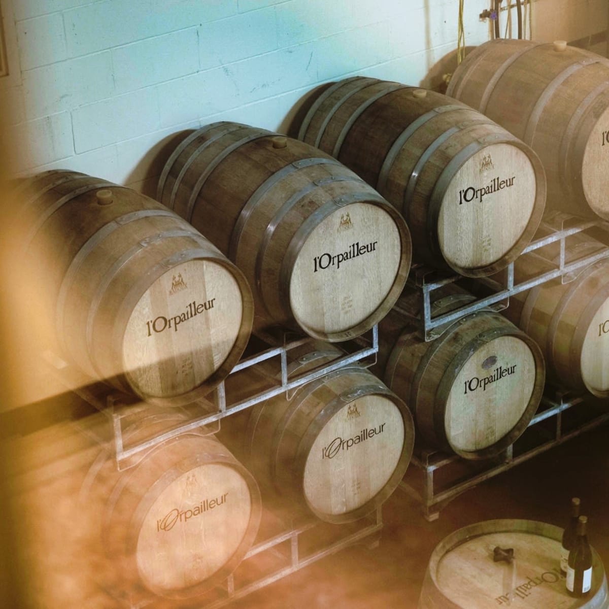 Vignoble de l’Orpailleur