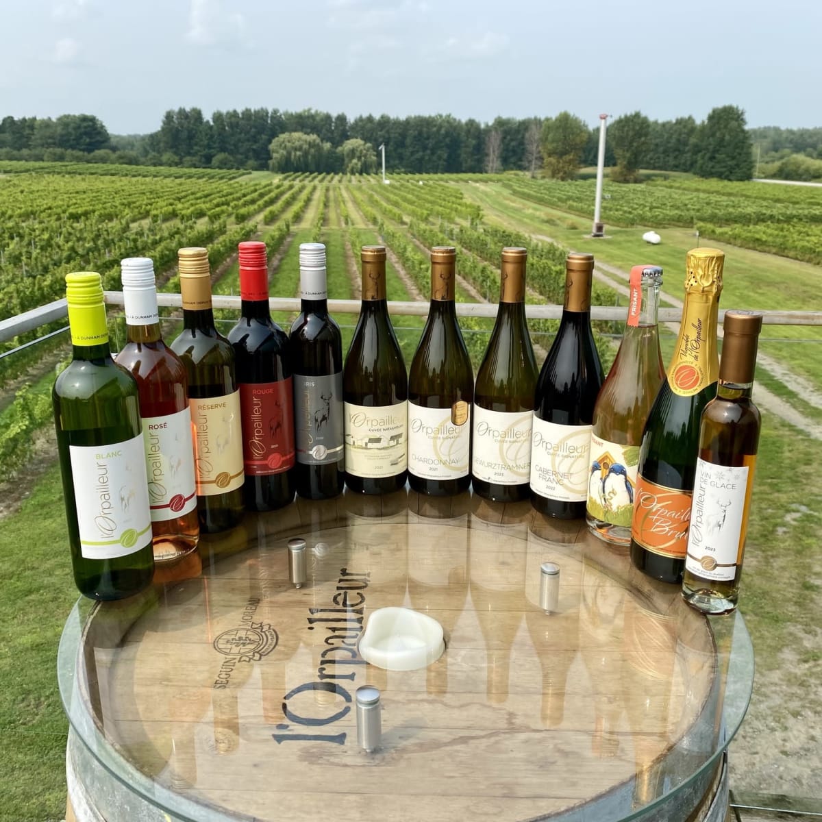 Vignoble de l’Orpailleur