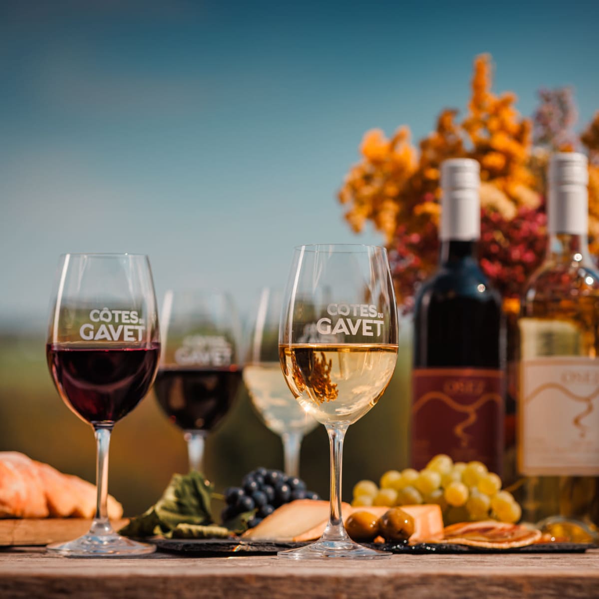 Dégustation de vin au Vignoble Les Côtes du Gavet.