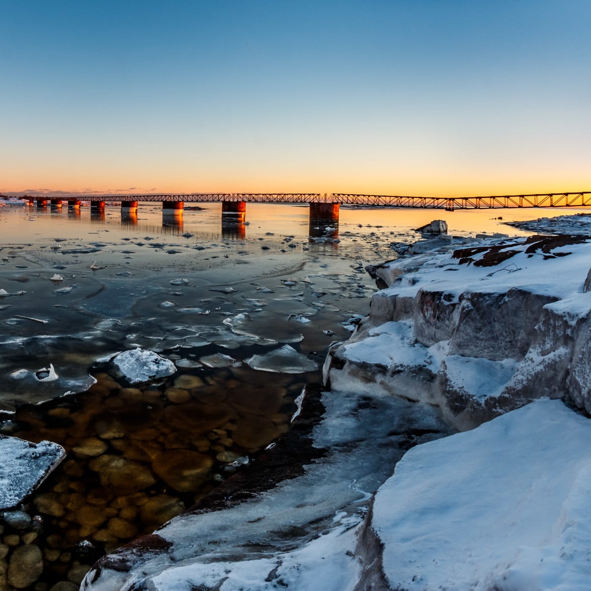 Frozen River, Arboriduc.