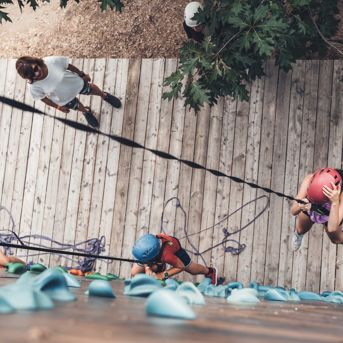 Tree-top adventure course.