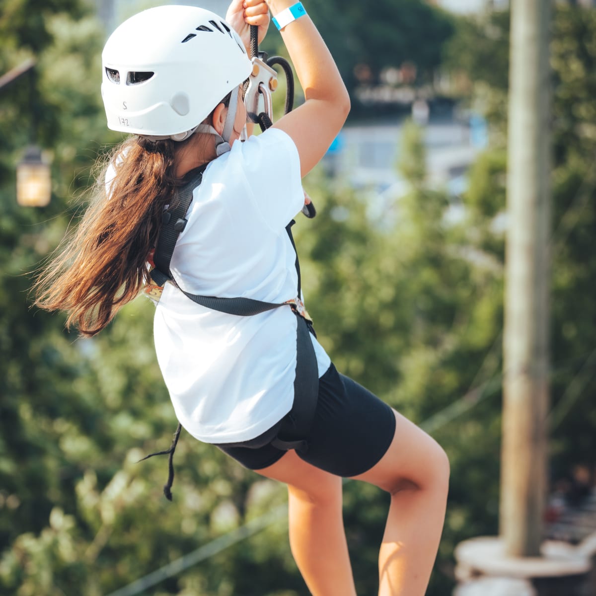 Tree-top adventure course.