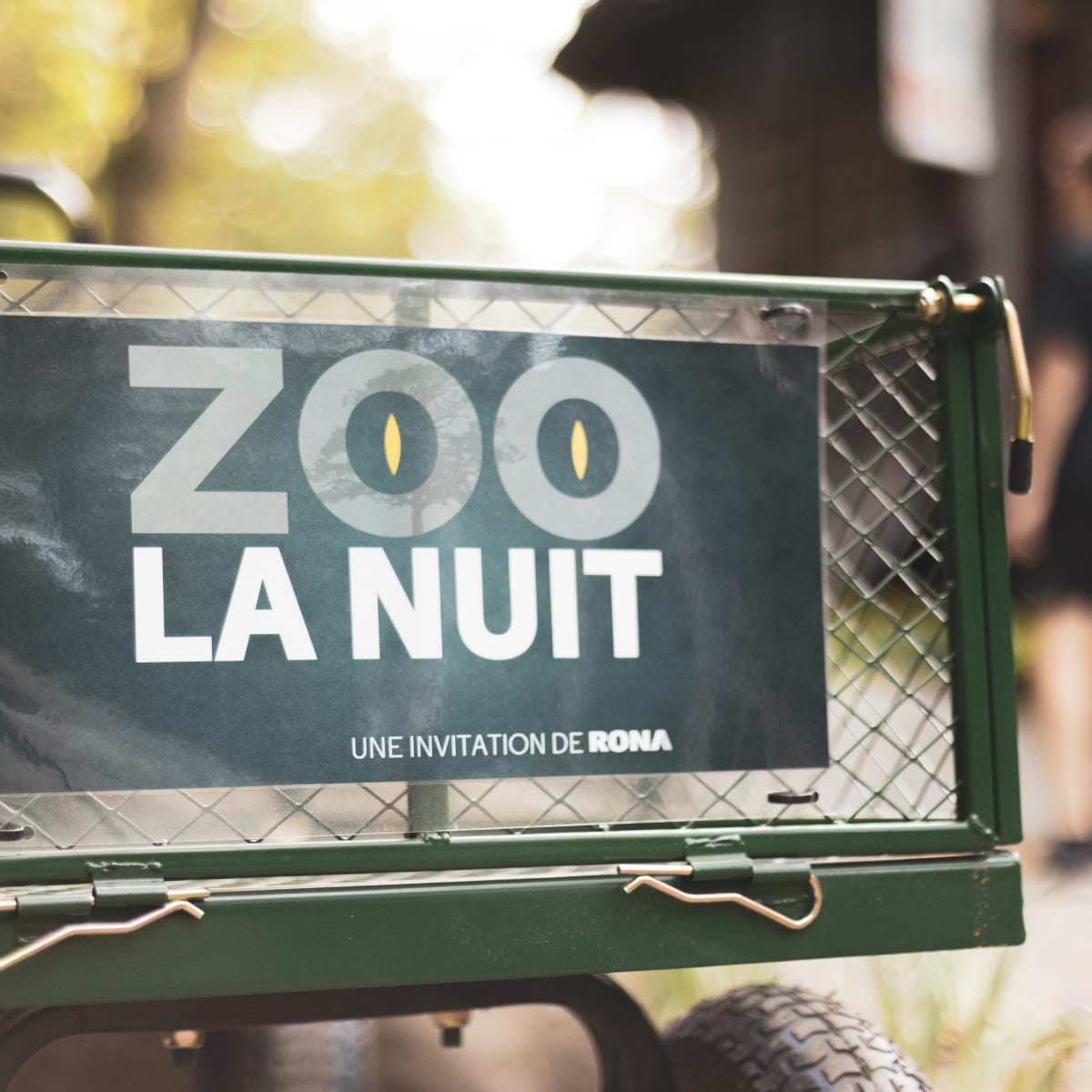 Affiche de Zoo la nuit au Zoo de Granby.
