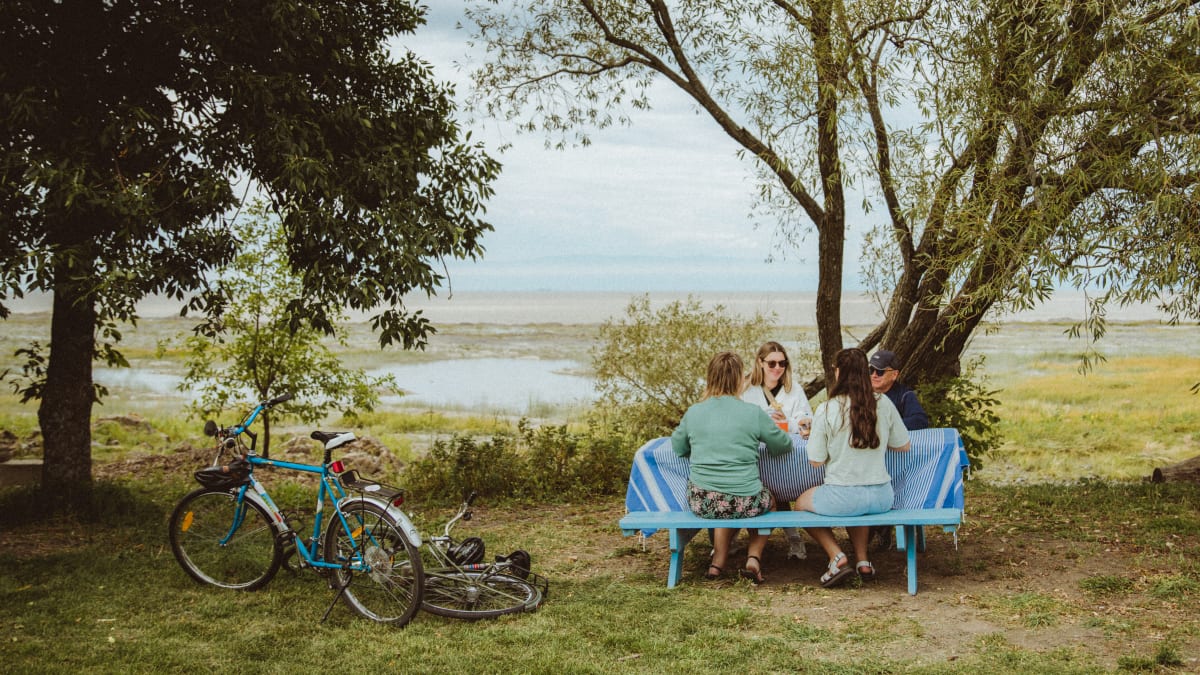 Four people picnicking next to their colourful bicycles.