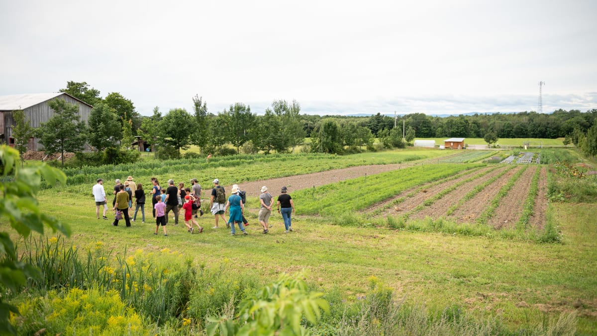 Group of people visiting farmland
