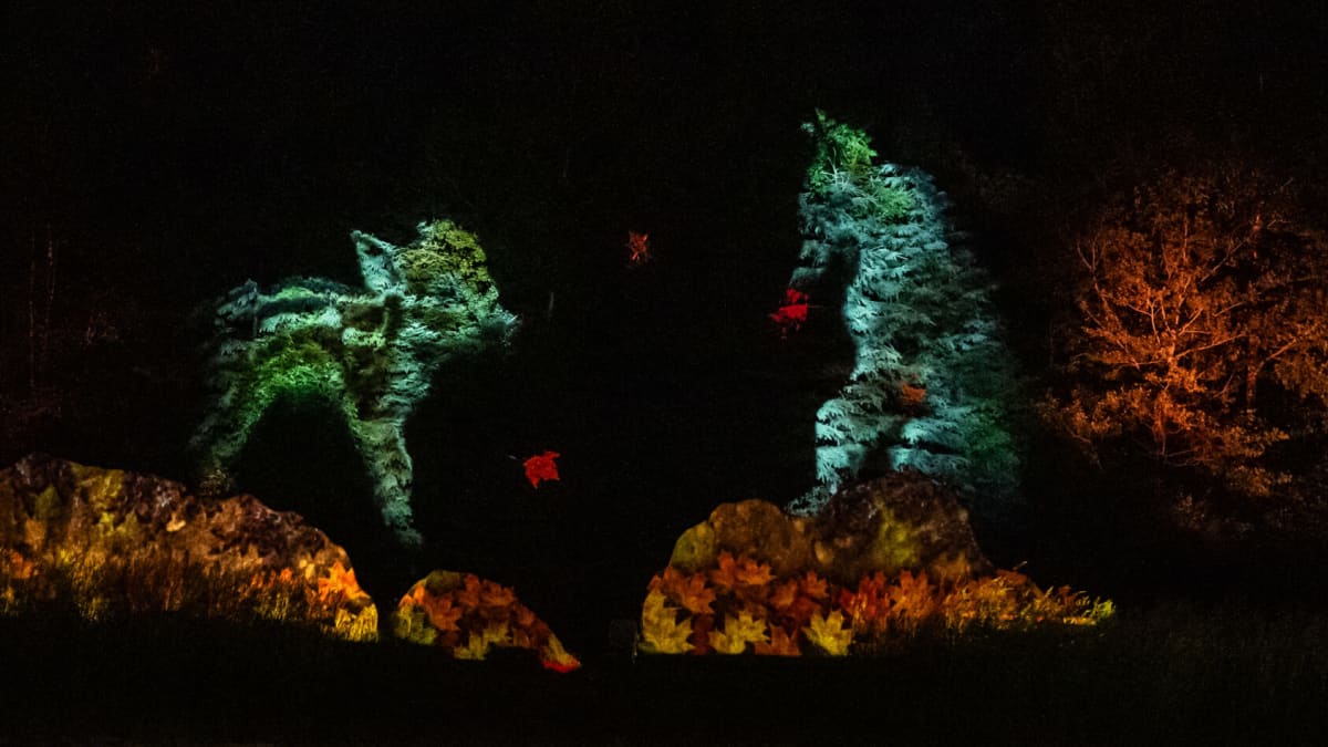 Oniro nighttime trail
