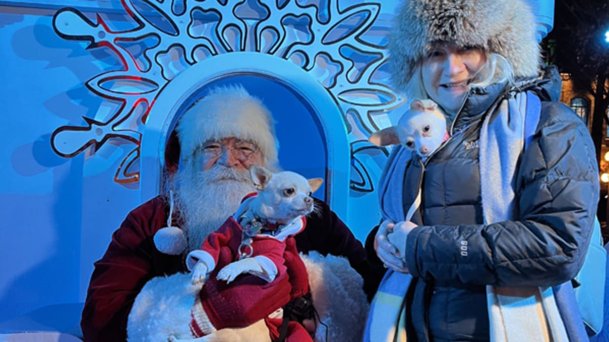 marche_de_noel_allemand_quebec_10