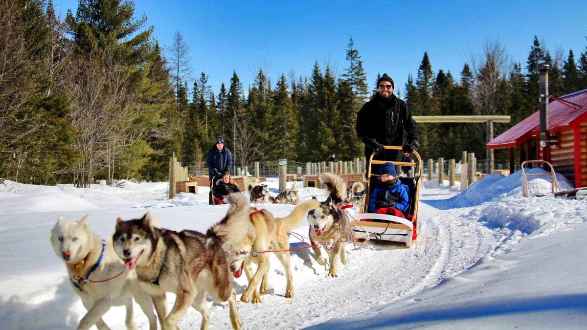 Dogsledding