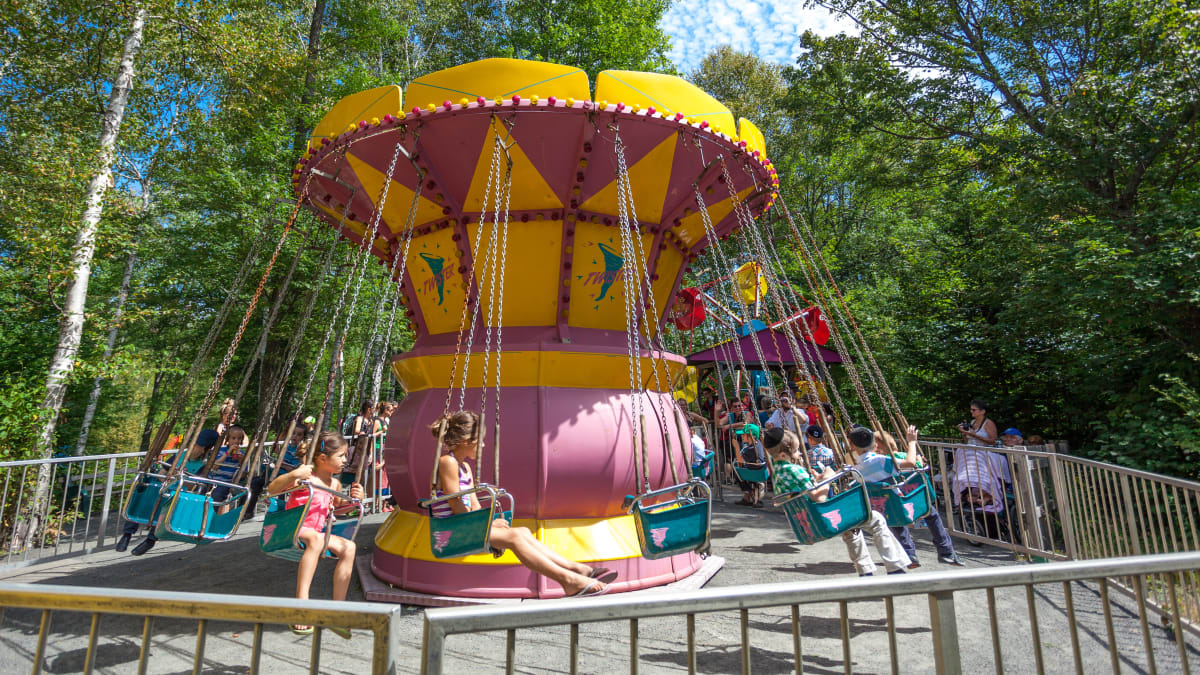 Children in a carousel