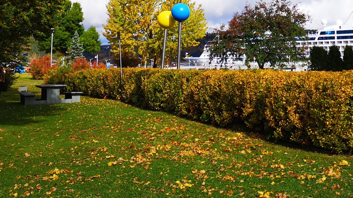 View of the autumnal scenery and a cruise ship in the Saguenay.