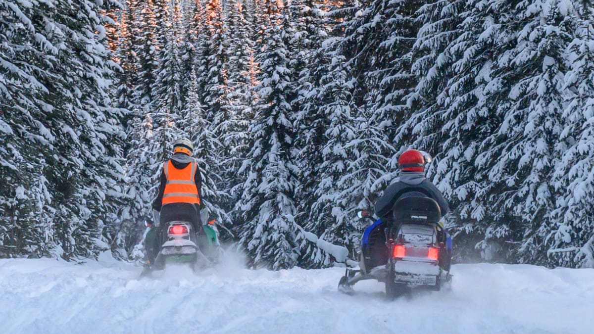 Motoneigistes dans un paysage d'hiver au Québec