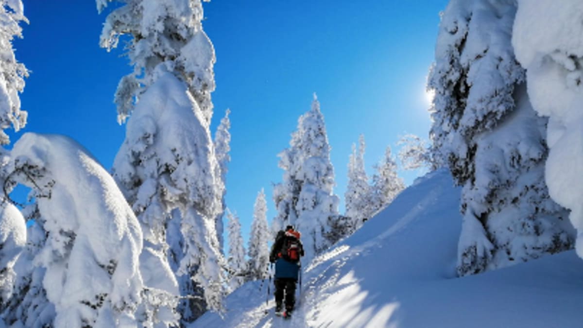 Skier exploring the backcountry