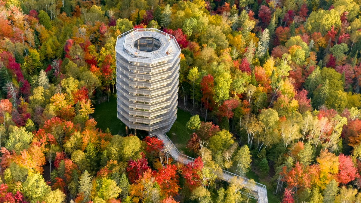Aerial view of the panoramic tower at Sentier des cimes.