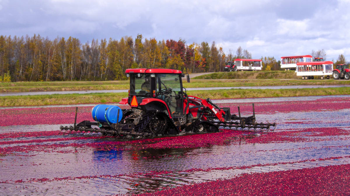Cranberry Interpretation Centre