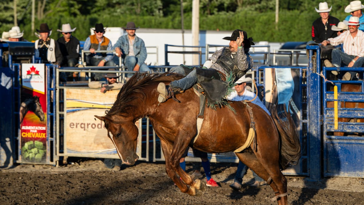 Rodeo at the St-Hyacinthe county fair.