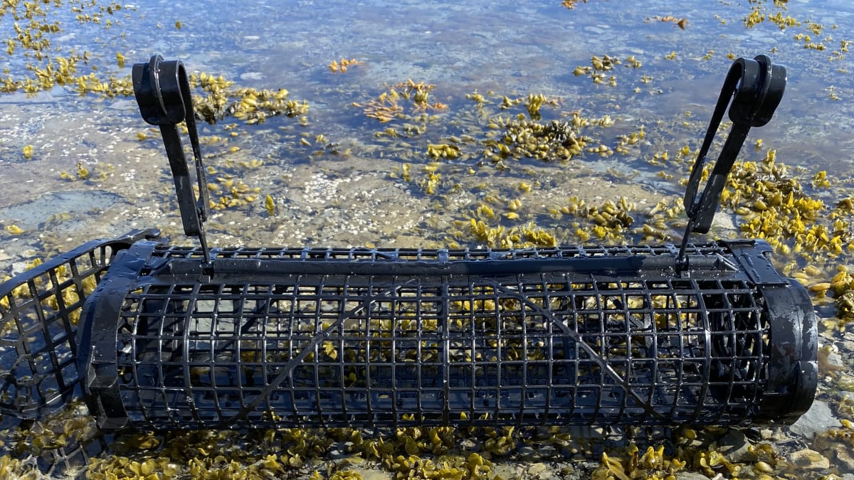 Oysters and oyster trap in the water.