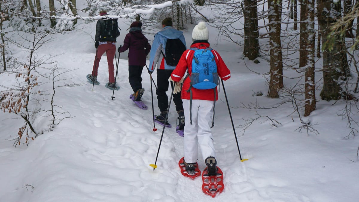 Quatre personnes vues de dos qui marchent à la file, raquettes aux pieds, sur un sentier en forêt abondamment enneigé.