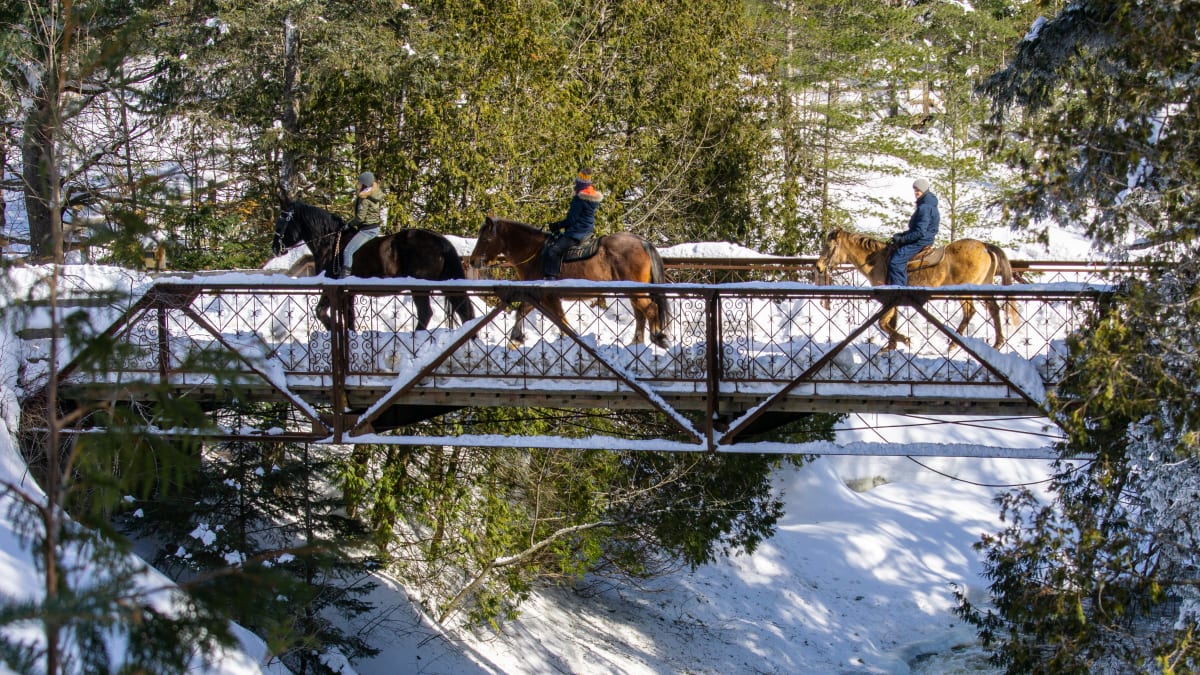 Promenade romantique à cheval au Baluchon Éco-villégiature