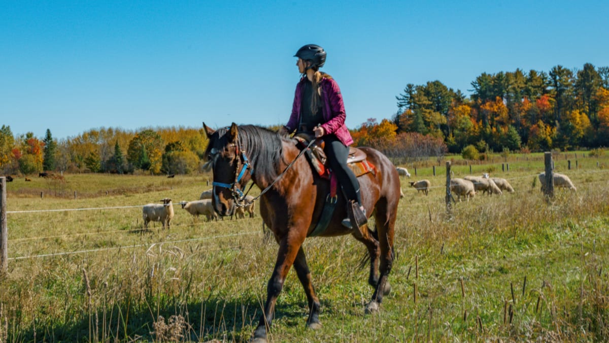 Horse-back rider and her horse admiring the landscape at Le Baluchon Éco-villégiature.