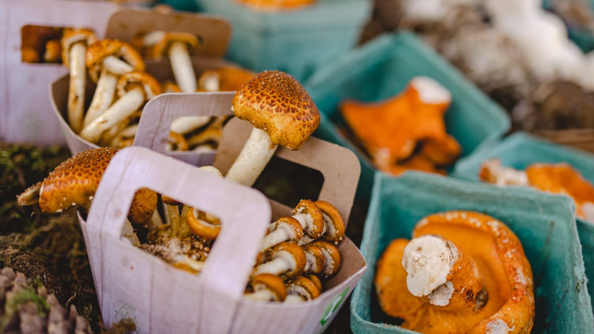 Champignons