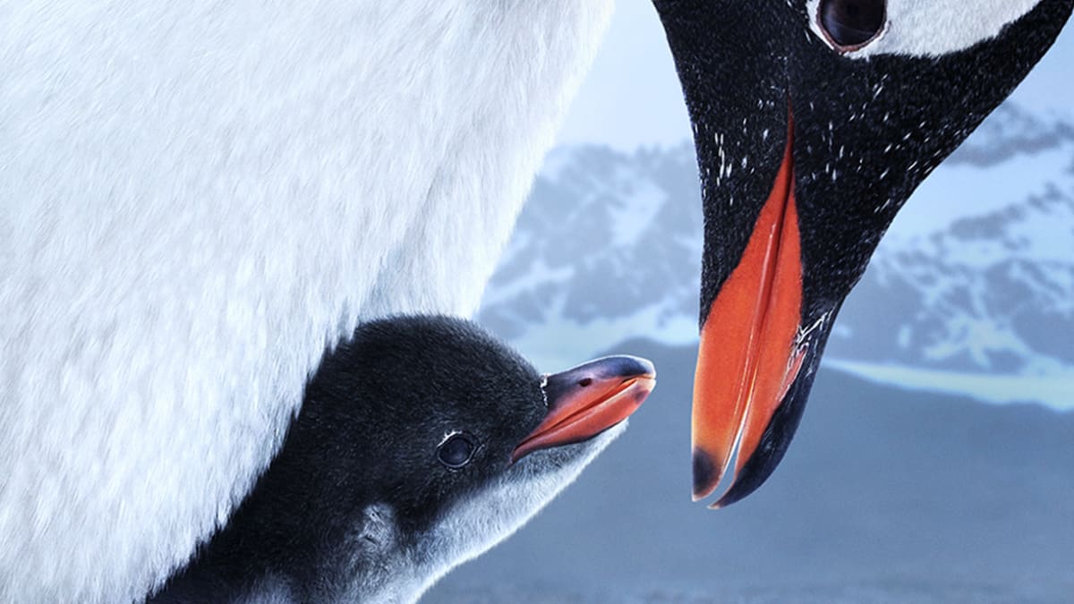 Film poster with an adult penguin and two baby penguins.
