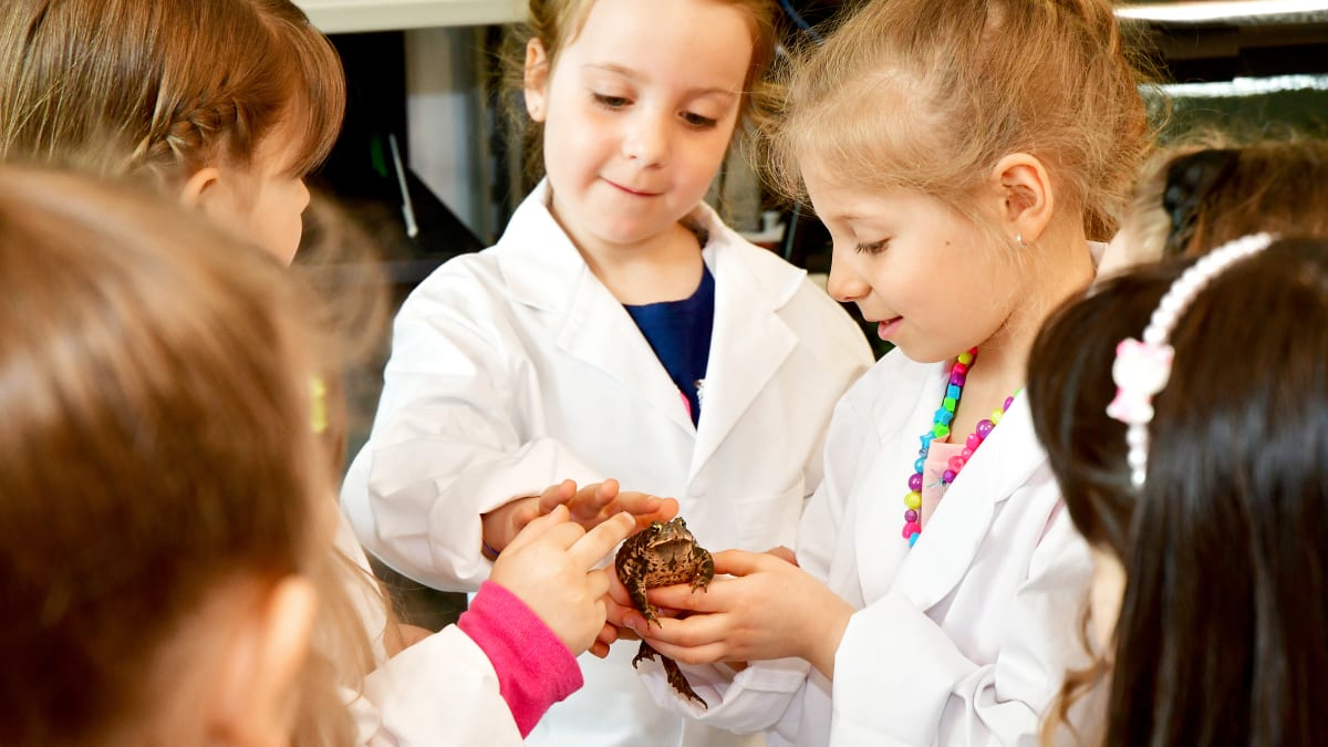 Groupe de jeunes enfants en sarrau en train d'observer une grenouille.