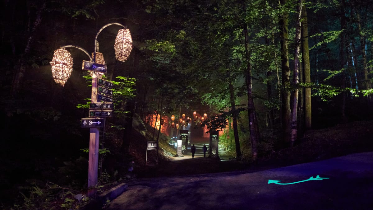 Foresta Lumina