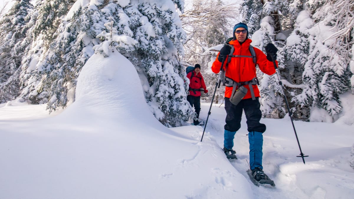 Parc régional Montagne du Diable Crédit photo: Nicolas Aubry