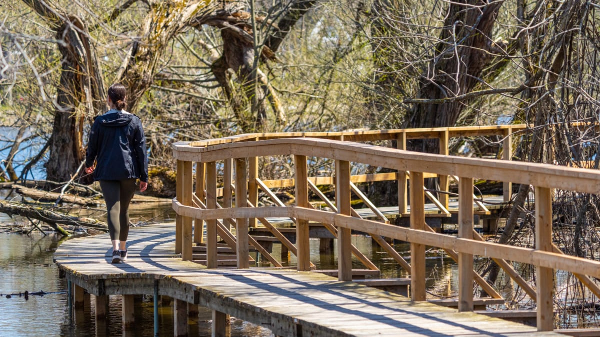 Young woman walking on a pathway over the water in the woods.