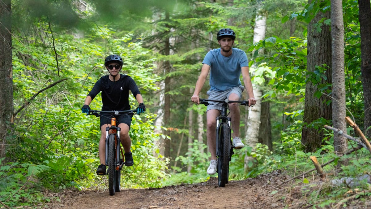 Two people fatbiking in the forest.