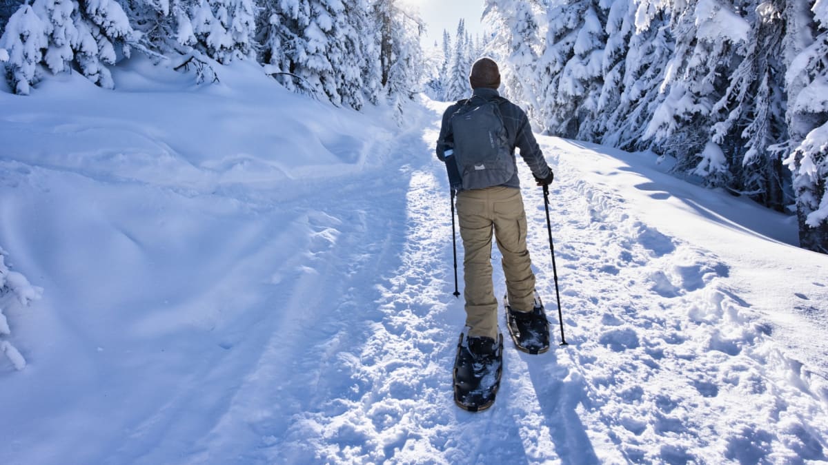 Promenade en raquettes dans le paysage hivernal de la vallée des fantômes au parc national des Monts-Valin
