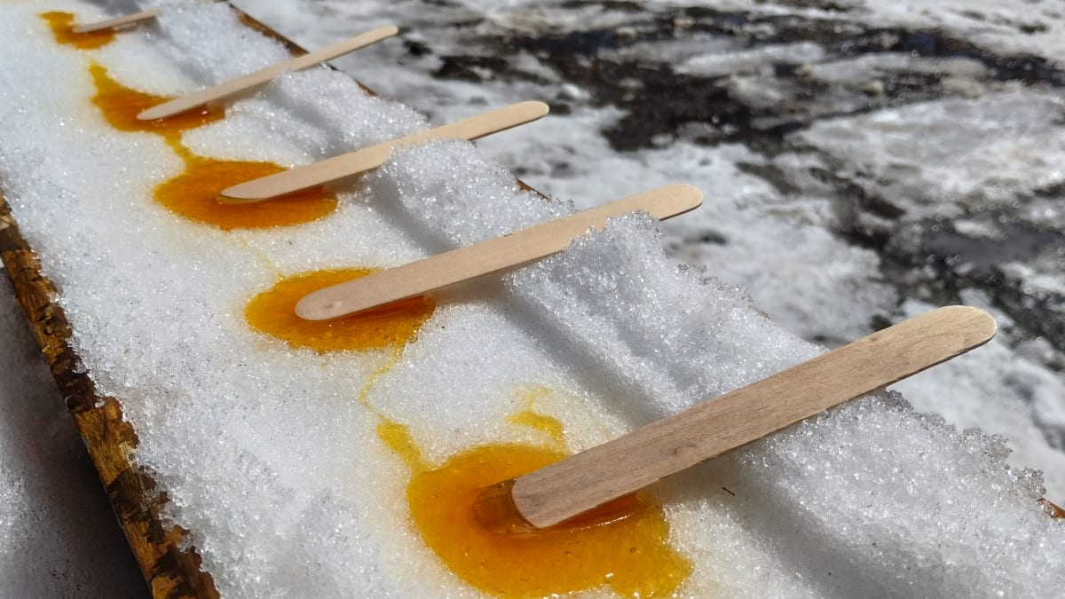 Gros plan sur un alignement de bâtons de tire sur la neige.