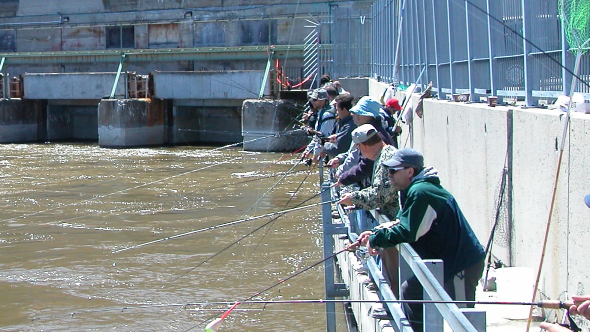 Plusieurs pêcheurs en rang qui pêchent du haut d'un barrage.
