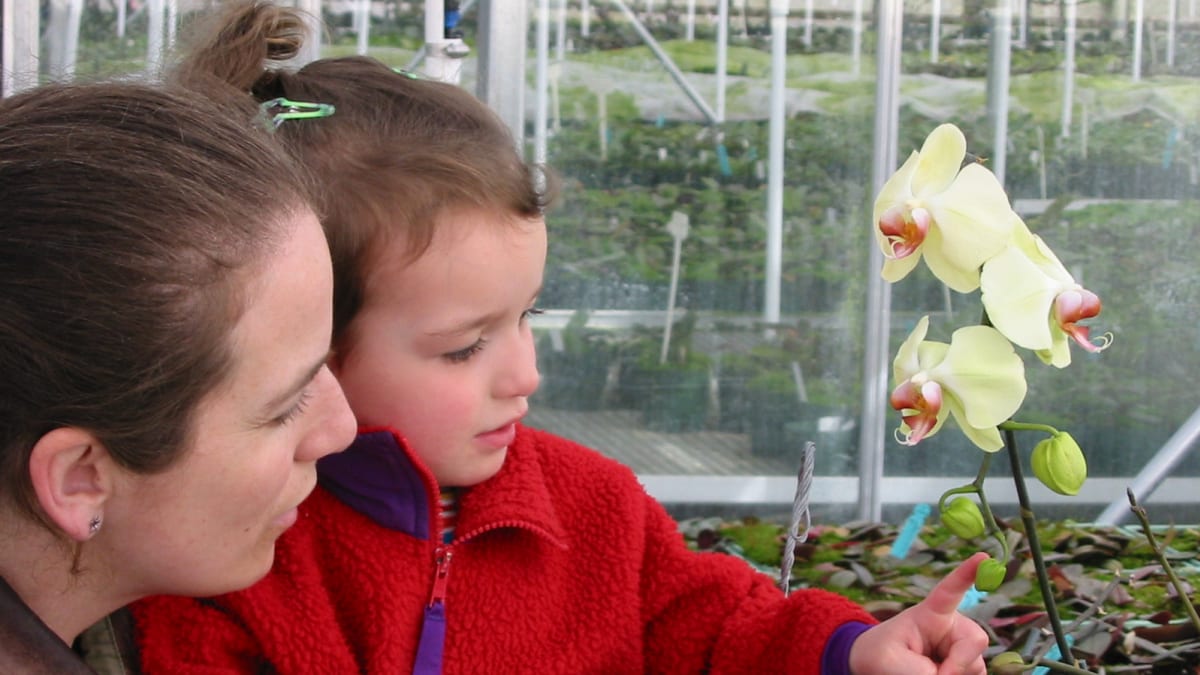 Une mère et sa fille en train de regarder une orchidée.