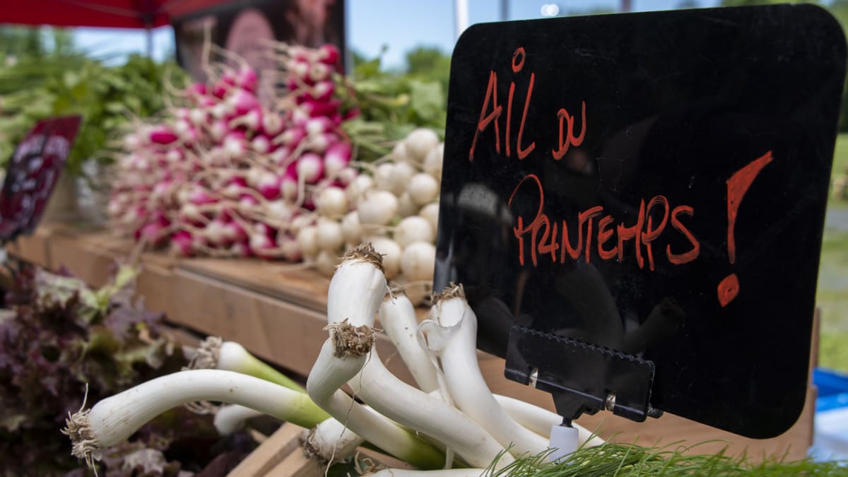 Gros plan d’un étal de marché, avec une affiche qui dit «Ail du printemps!».