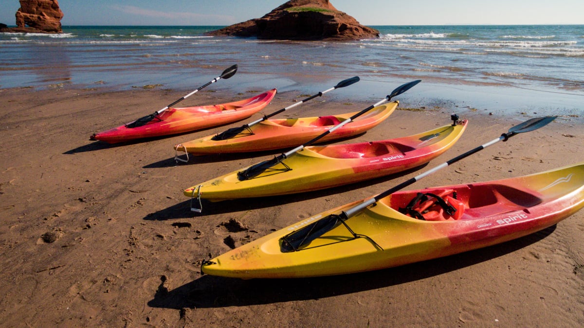 Four kayaks lined up on a beach, with a vast body of water on the horizon.
