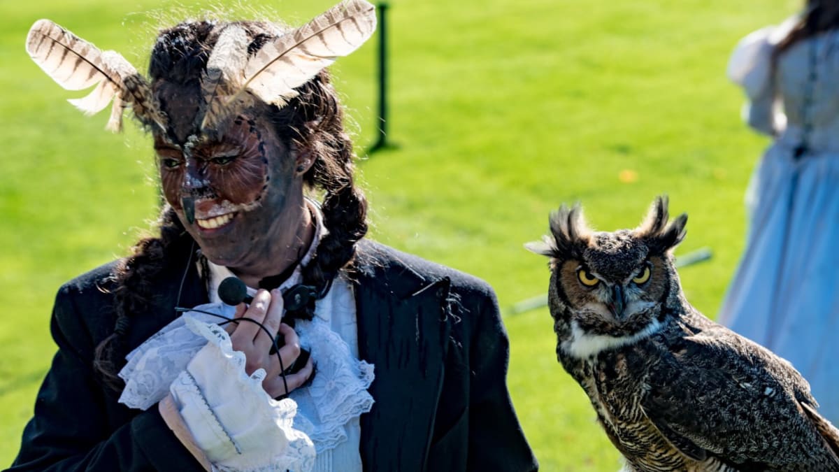 Fête d’Halloween à la Chouette à voir!