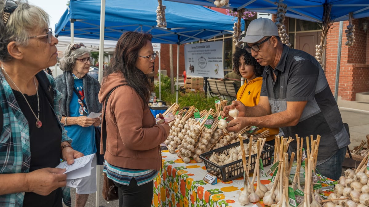 Garlic stand at a market, with vendors and clients discussing.
