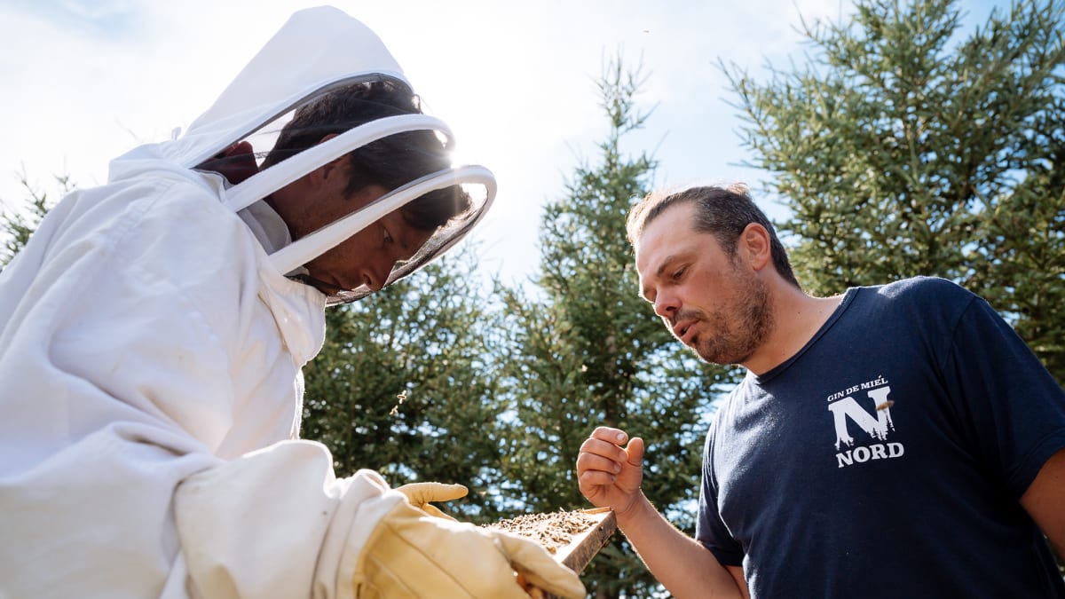 Beekeeper and visitor at the Grande Ourse honey farm