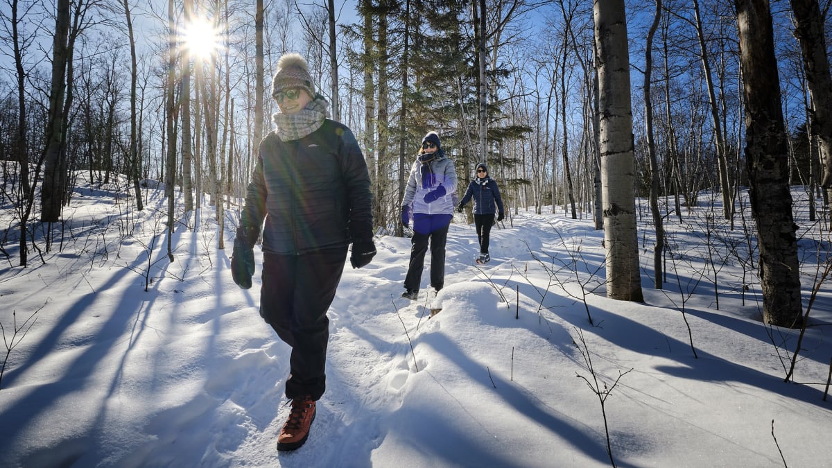 3 femmes qui marchent dans un sentier en forêt l'hiver.
