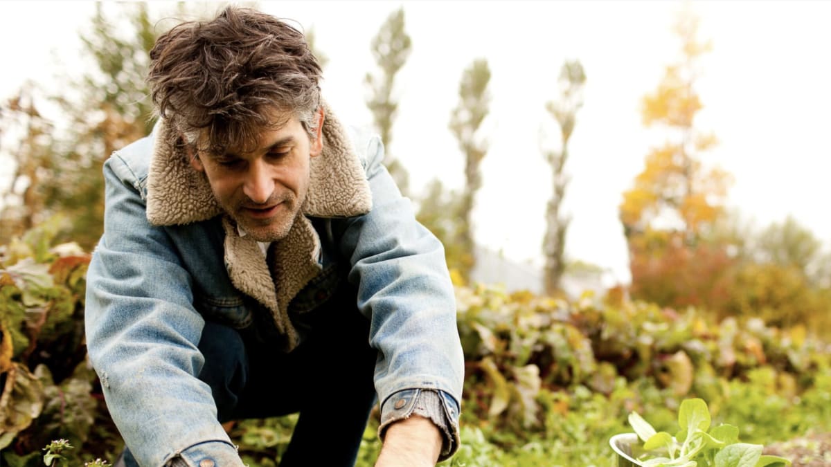 Cueilleur dans la forêt
