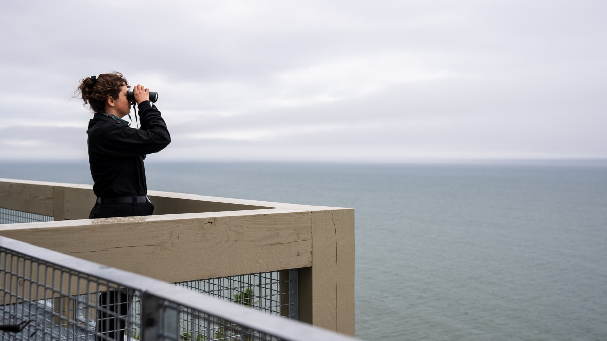Femme qui observe les bélugas au Bas-St-Laurent