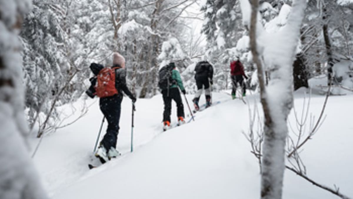 Group of alpine tourers in the Brome-Missisquoi region