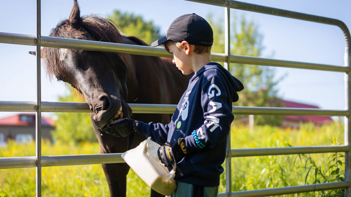 Young boy and black horse behind a fence.