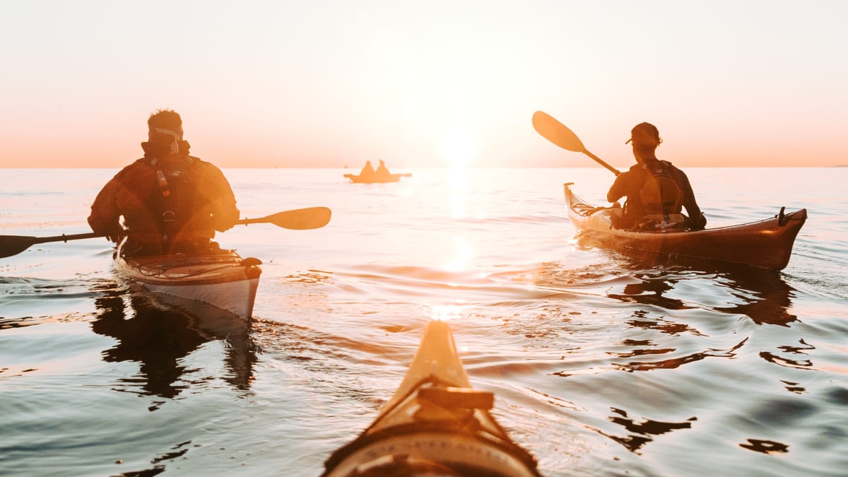 Group of kayakers on the fjord at sunset.