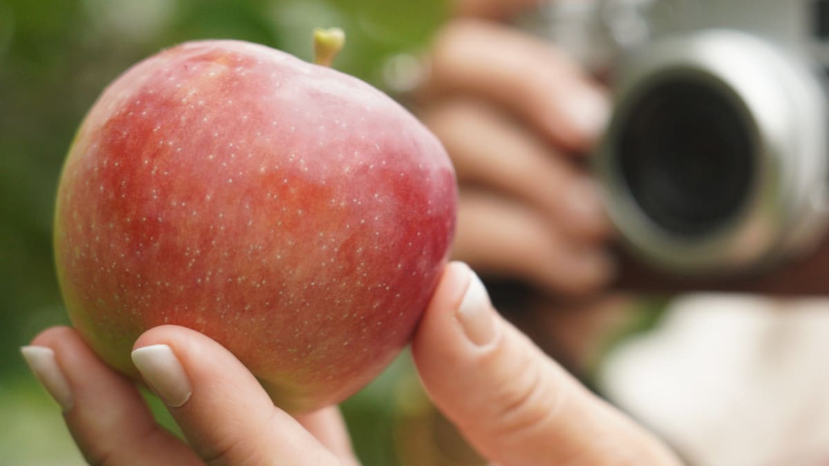 Apple