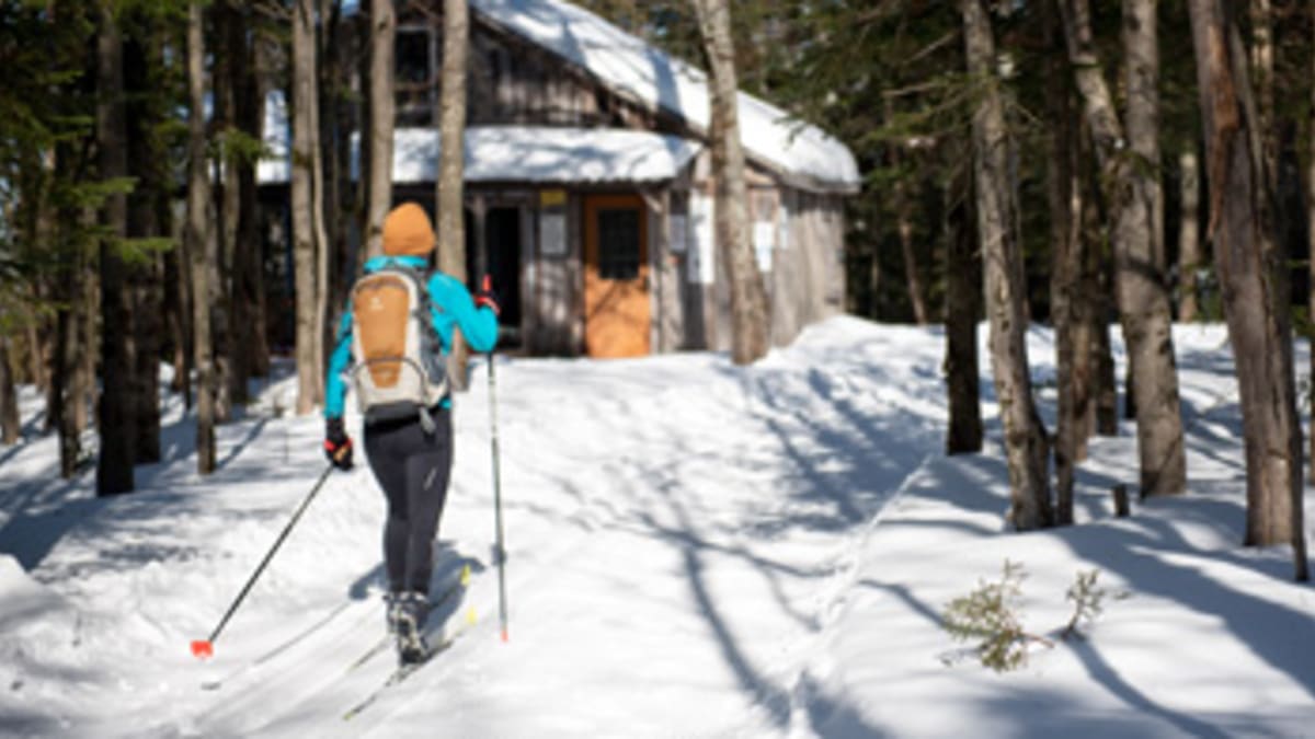 Cross-country skier on a snow-covered trail