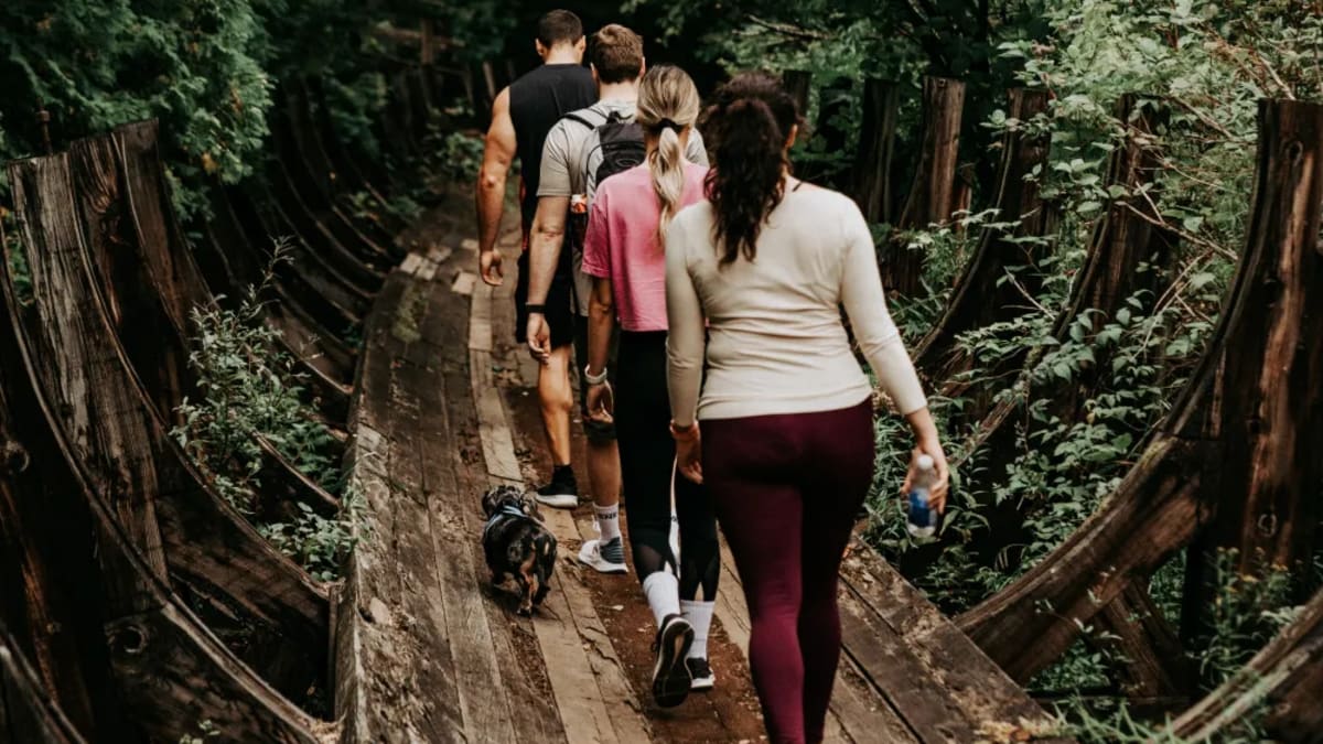 Group of people walking on an old wooden structure in the heart of the forest.
