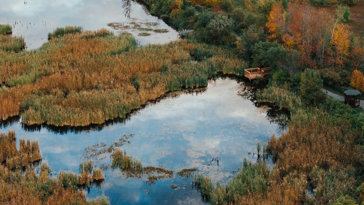 Lake and fall landscape slightly overcast.