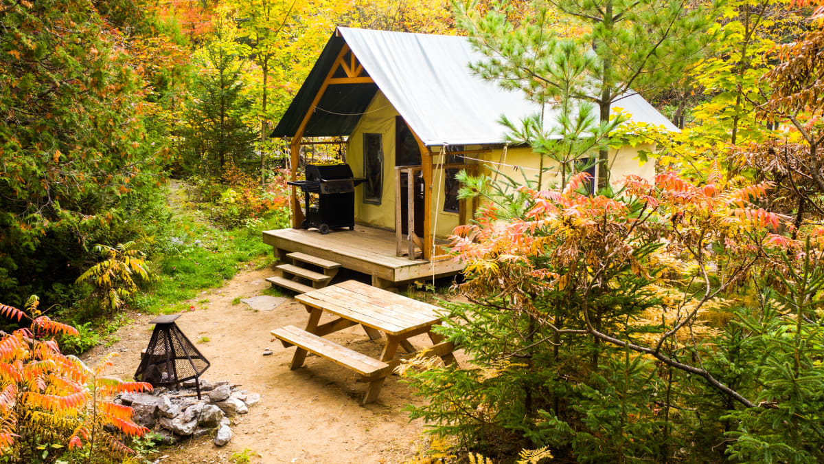 Cottage in the forest in a fall setting.